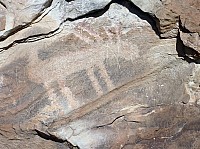Dinosaur national park (9).JPG
